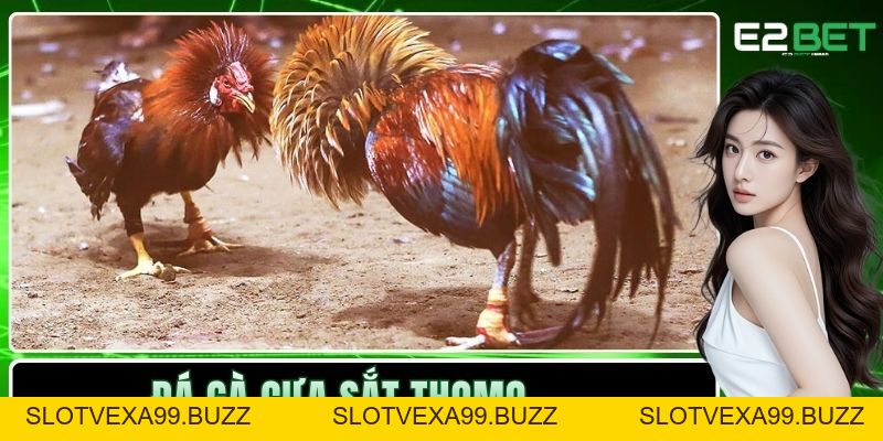E2BET ⚜️ Không Gian Đổi Thưởng Đẳng Cấp Thượng Lưu E2BET.COM - SLOTVEXA99