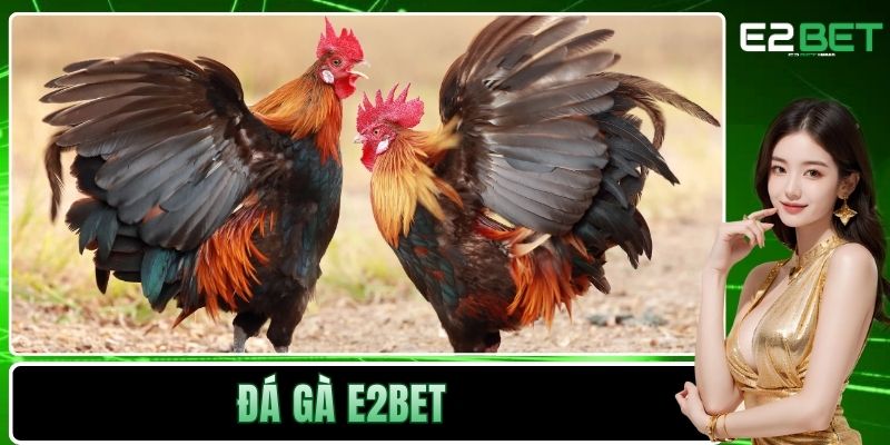 Đá Gà E2BET - Sân Chơi Kịch Tính Và Minh Bạch Cho Bạn - SLOTVEXA99 Đá Gà E2BET - Sân Chơi Kịch Tính Và Minh Bạch Cho Bạn - SLOTVEXA99