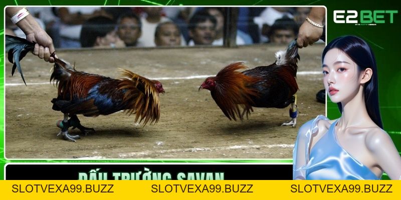 E2BET ⚜️ Không Gian Đổi Thưởng Đẳng Cấp Thượng Lưu E2BET.COM - SLOTVEXA99