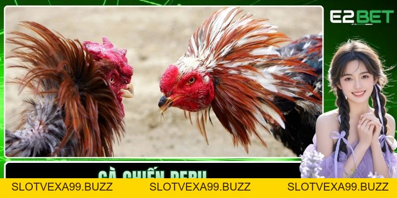 E2BET ⚜️ Không Gian Đổi Thưởng Đẳng Cấp Thượng Lưu E2BET.COM - SLOTVEXA99