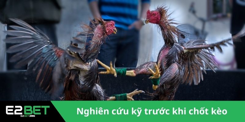 Đá Gà Cựa Sắt Thomo - Trận Chiến Rực Lửa Tại Đấu Trường Tại E2BET - SLOTVEXA99