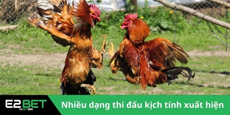 Đấu Trường Savan - Sức Hút Của Những Trận Chiến Kê Tại Lào Tại E2BET - SLOTVEXA99 Đấu Trường Savan - Sức Hút Của Những Trận Chiến Kê Tại Lào Tại E2BET - SLOTVEXA99