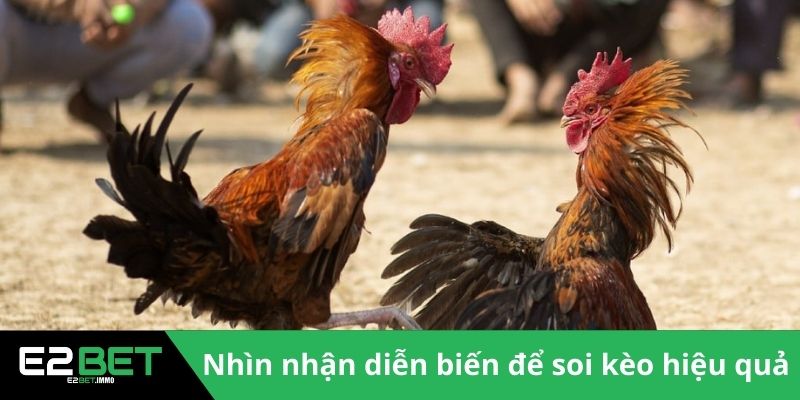 Đá Gà Cựa Dao Trực Tiếp | Trận Chiến Sinh Tử Kịch Tính Tại E2BET - SLOTVEXA99 Đá Gà Cựa Dao Trực Tiếp | Trận Chiến Sinh Tử Kịch Tính Tại E2BET - SLOTVEXA99