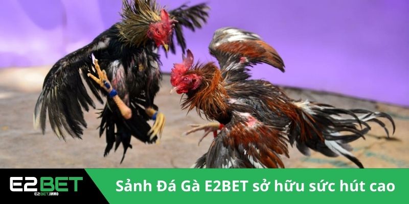 Đá Gà E2BET - Sân Chơi Kịch Tính Và Minh Bạch Cho Bạn - SLOTVEXA99 Đá Gà E2BET - Sân Chơi Kịch Tính Và Minh Bạch Cho Bạn - SLOTVEXA99